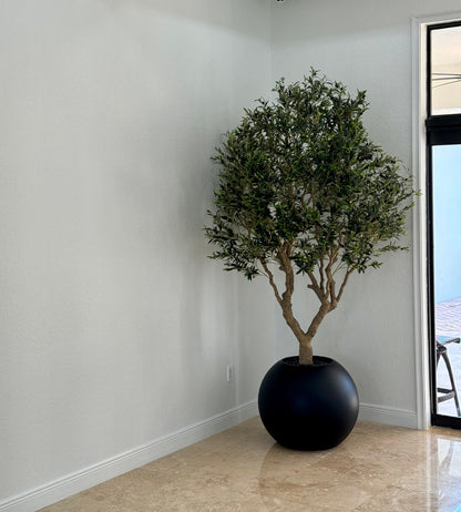 Olive Tree in Matte Black  Globe Planter