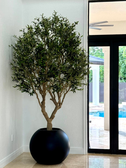 Olive Tree in Matte Black  Globe Planter