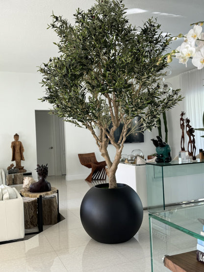 Olive Tree in Matte Black  Globe Planter